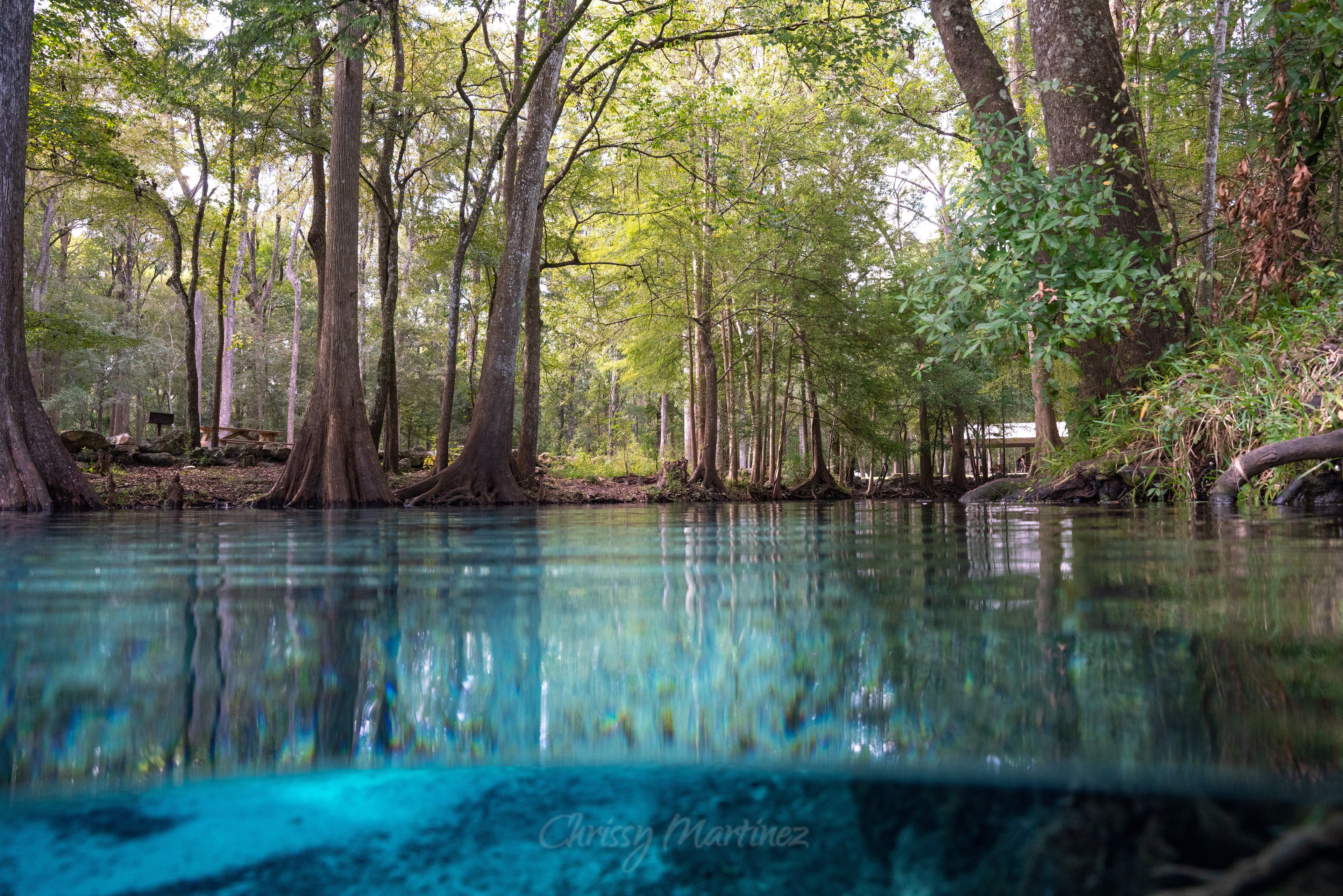 2027 Calendar (Florida Wildlife & Landscapes) Pre-order