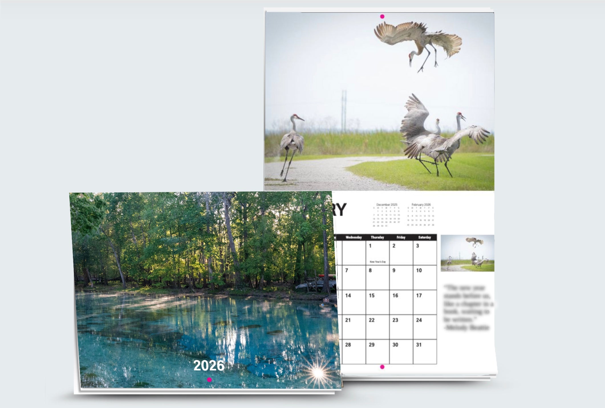 2026 Calendar (Florida Wildlife & Landscapes)