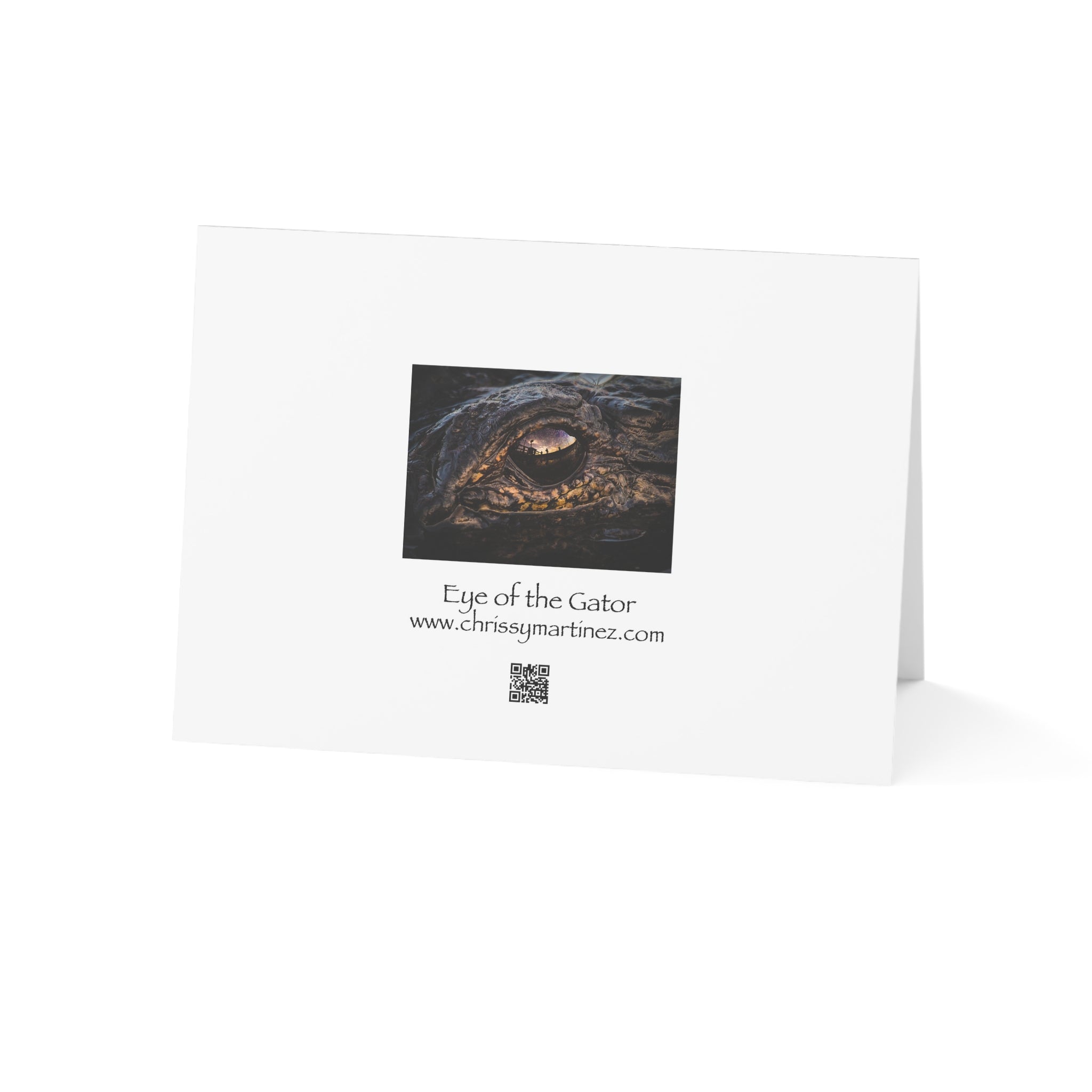 Wild Florida Greeting Card 5 pack (free shipping)