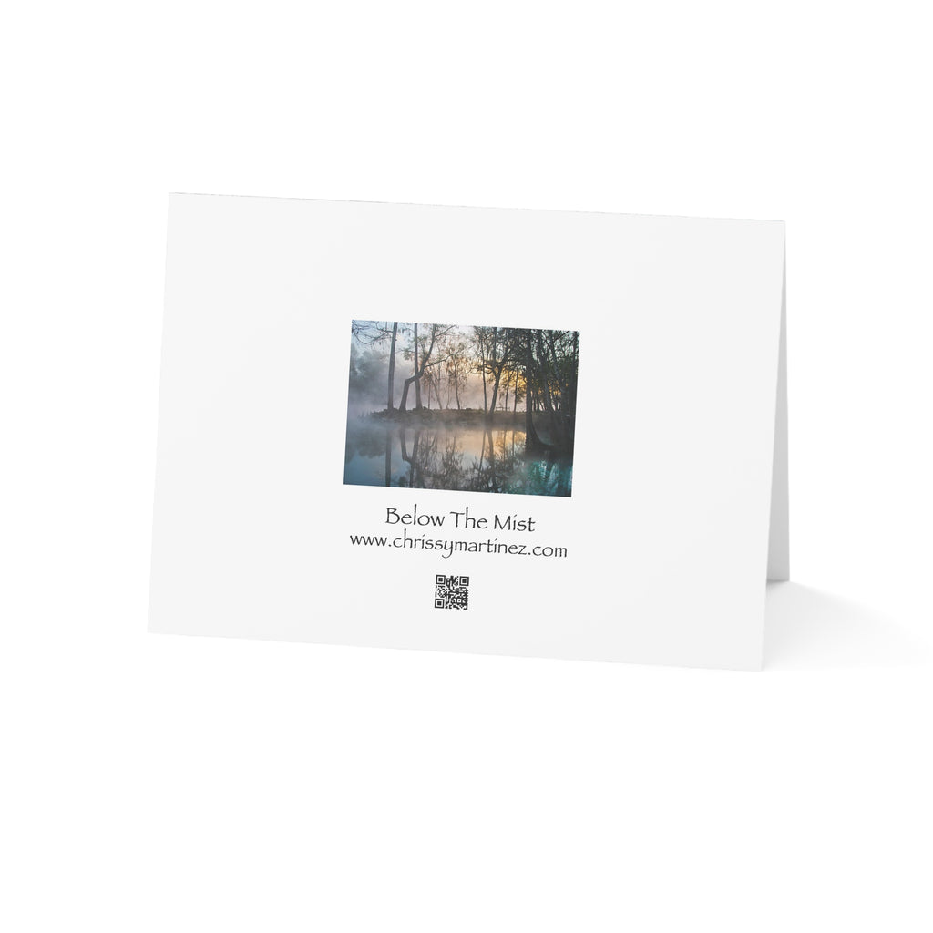 Wild Florida Greeting Card 5 pack (free shipping)