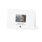Wild Florida Greeting Card 5 pack (free shipping)