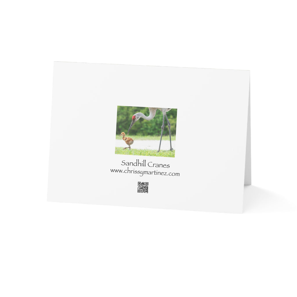 Wild Florida Greeting Card 5 pack (free shipping)