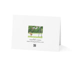 Wild Florida Greeting Card 5 pack (free shipping)