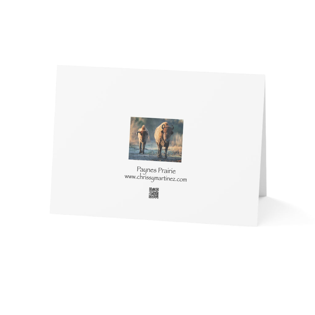 Wild Florida Greeting Card 5 pack (free shipping)
