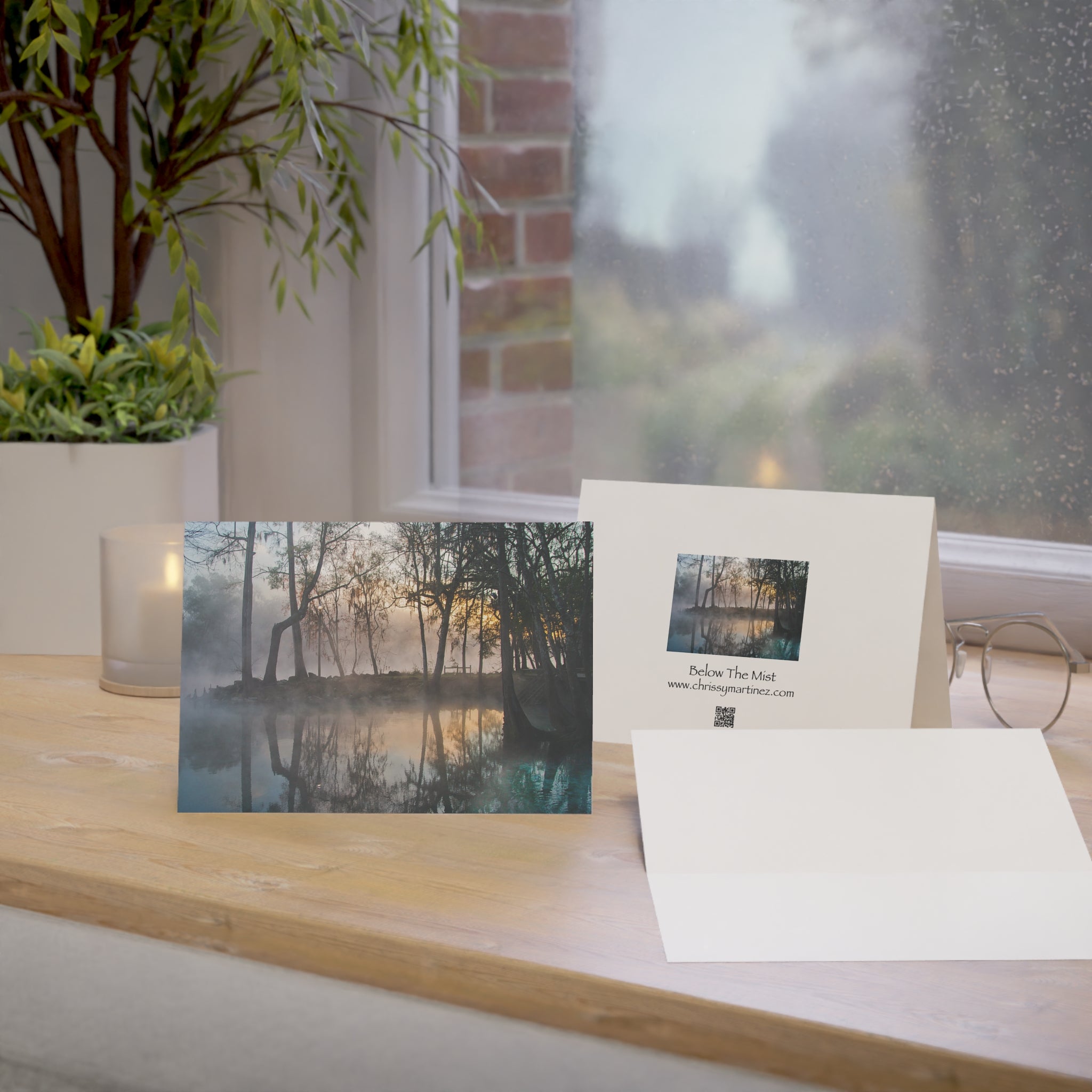 Wild Florida Greeting Card pack