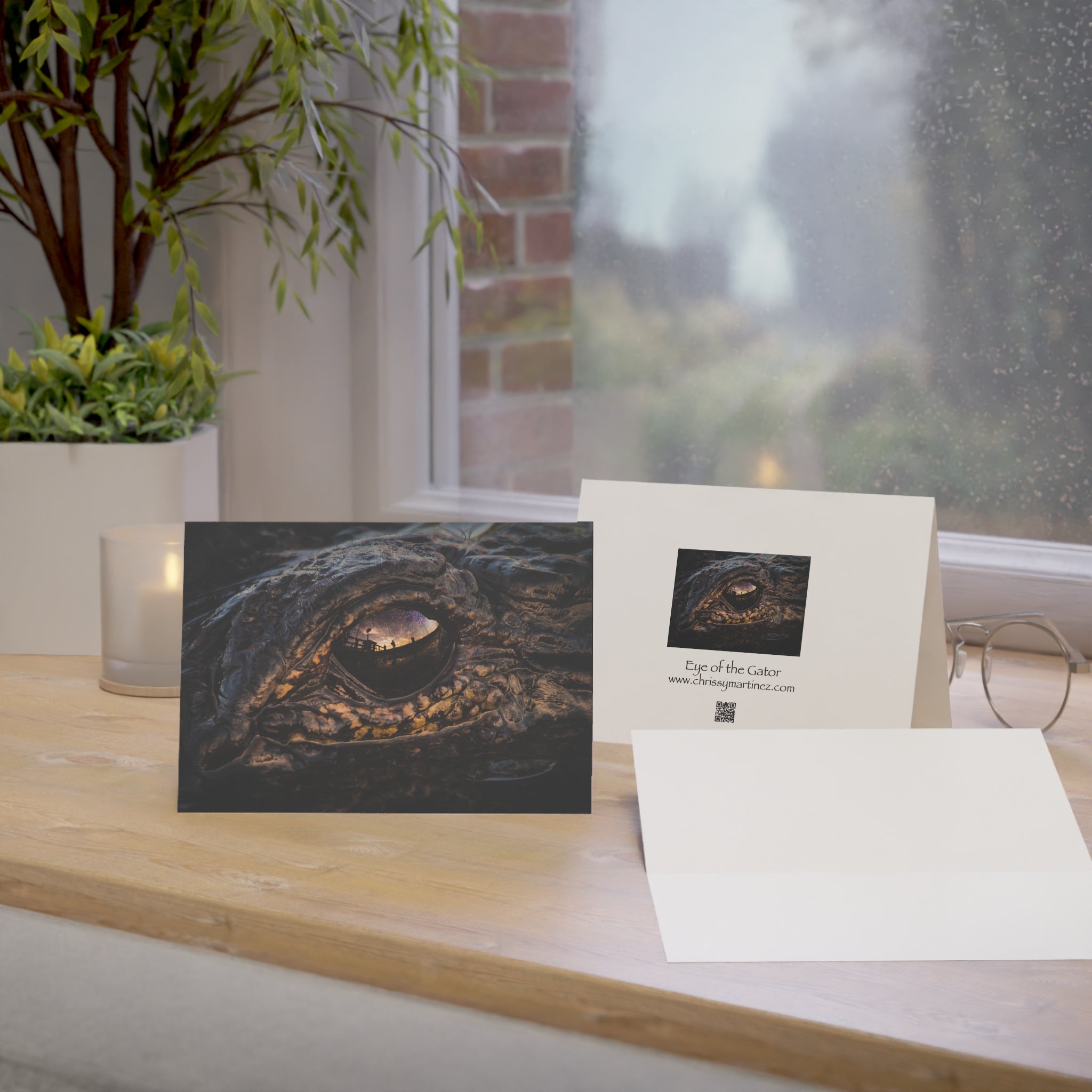 Wild Florida Greeting Card pack