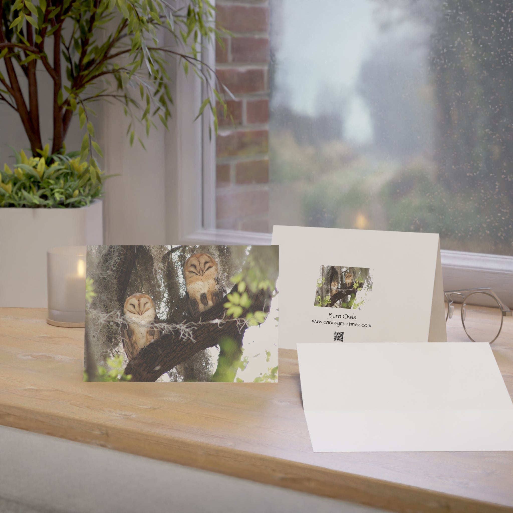 Wild Florida Greeting Card pack