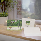 Wild Florida Greeting Card 5 pack (free shipping)