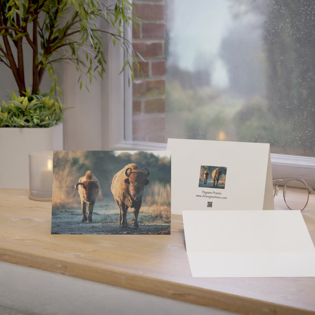 Wild Florida Greeting Card 5 pack (free shipping)
