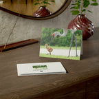 Wild Florida Greeting Card 5 pack (free shipping)