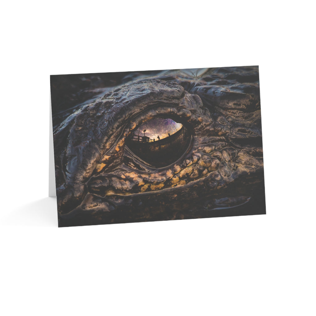 Wild Florida Greeting Card 5 pack (free shipping)