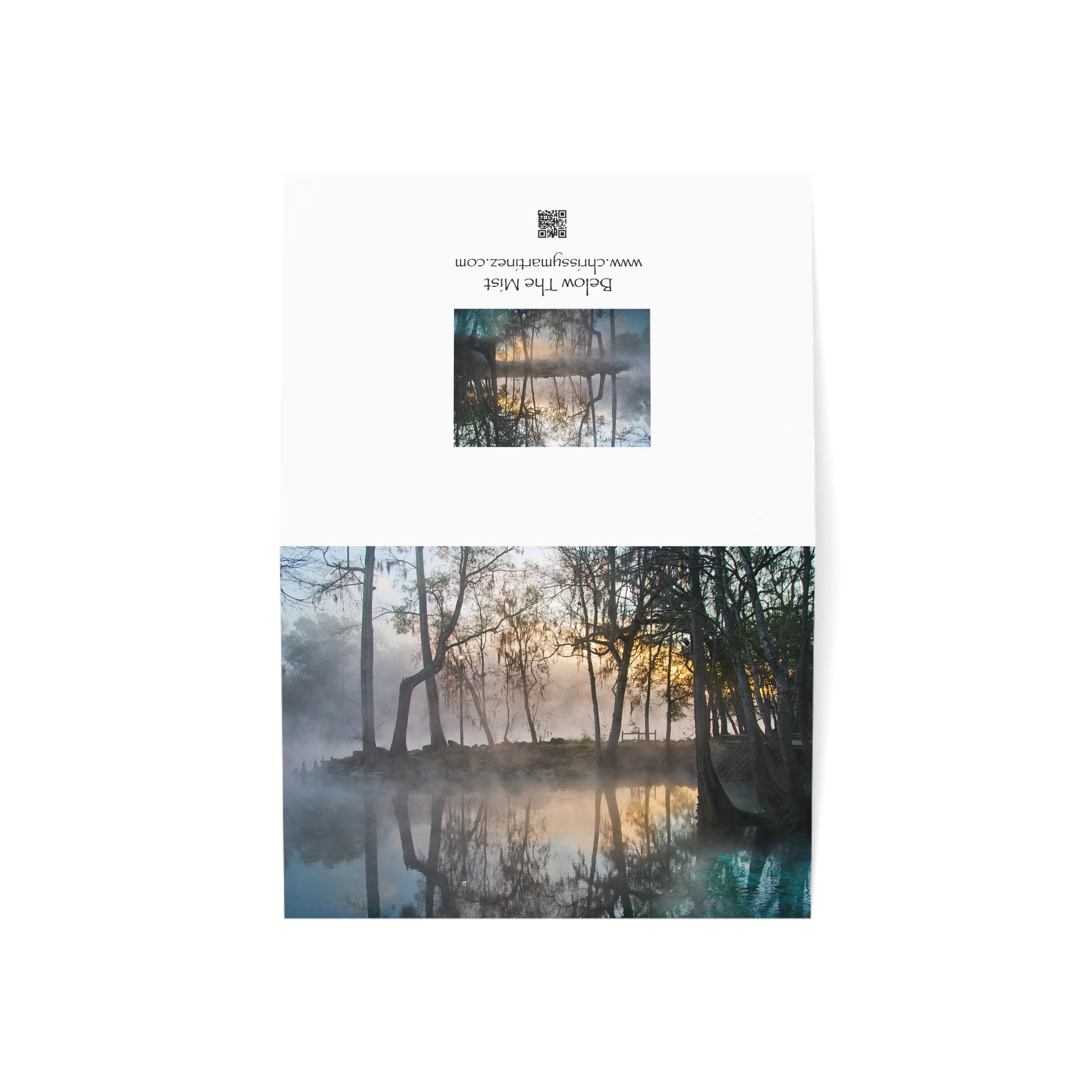 Wild Florida Greeting Card 5 pack (free shipping)