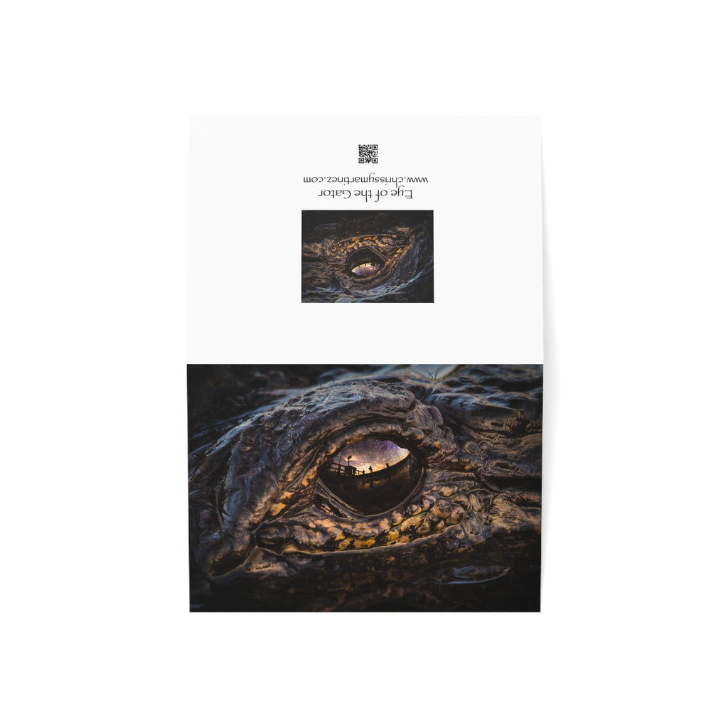 Wild Florida Greeting Card 5 pack (free shipping)