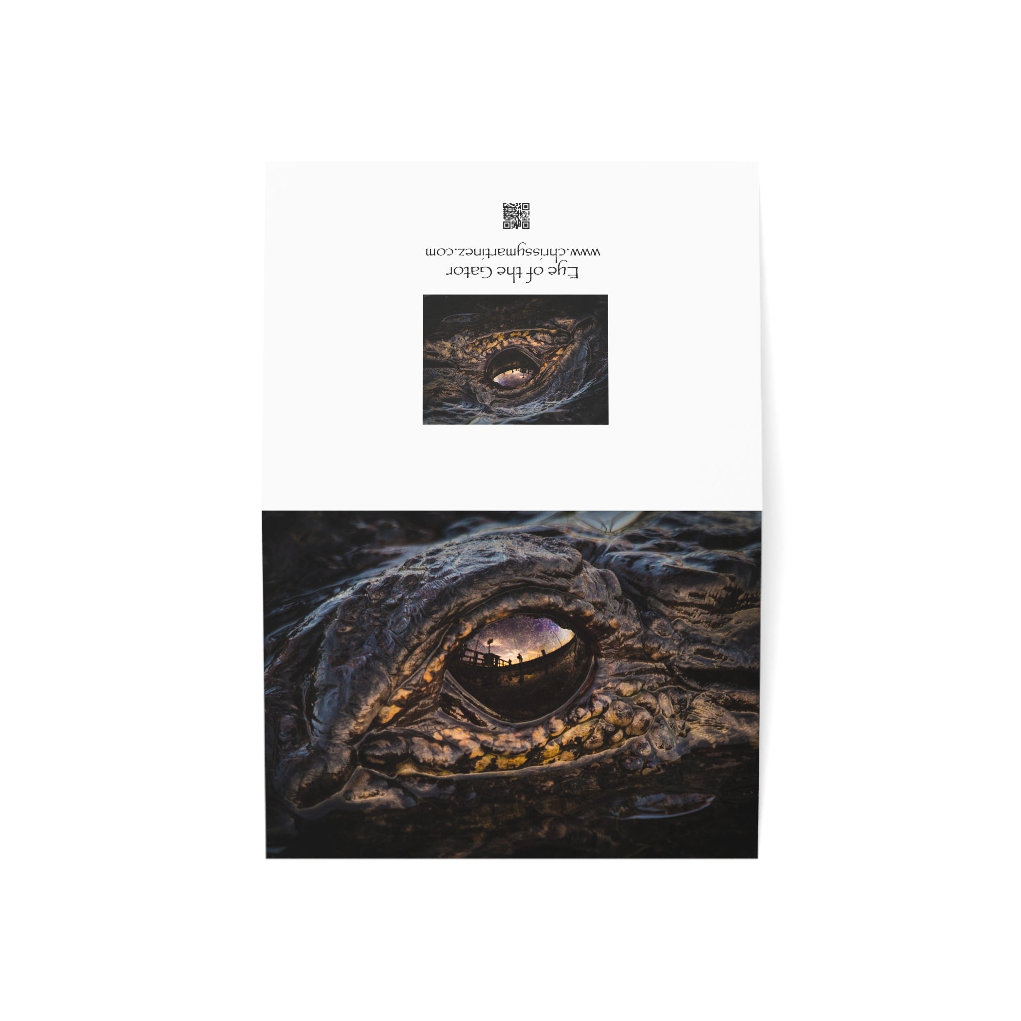 Wild Florida Greeting Card 5 pack (free shipping)