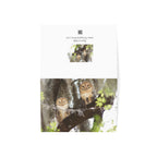 Wild Florida Greeting Card 5 pack (free shipping)