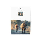 Wild Florida Greeting Card 5 pack (free shipping)