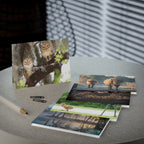 Wild Florida Greeting Card 5 pack (free shipping)